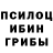 Галлюциногенные грибы Cubensis Karl Tvarovski