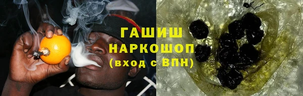 трава Коряжма