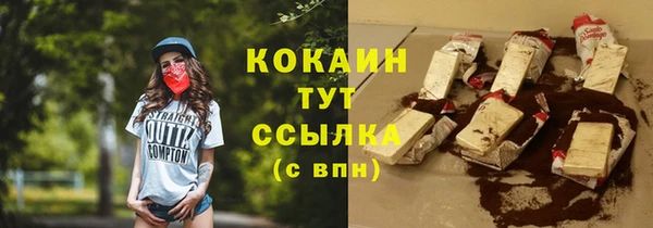 трава Коряжма