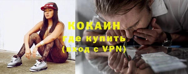трава Коряжма