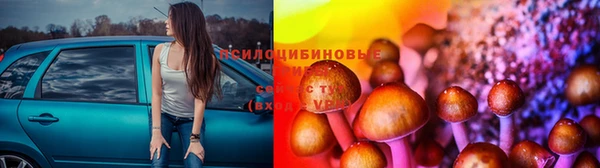 а пвп мука Корсаков