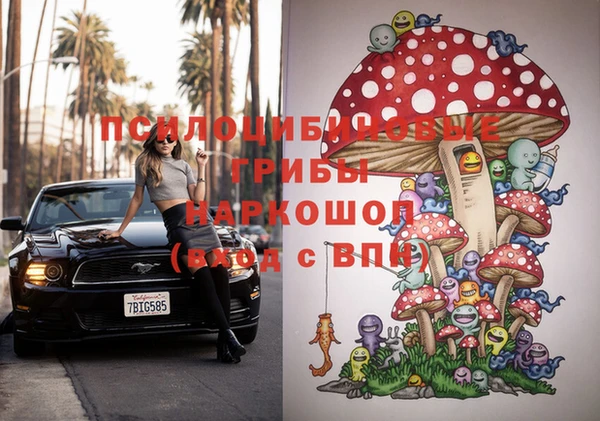 трава Коряжма