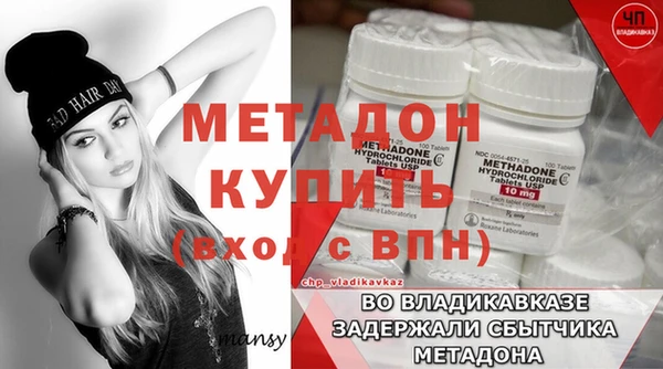 трава Коряжма