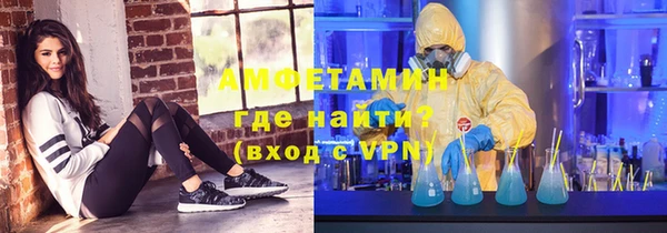 трава Коряжма
