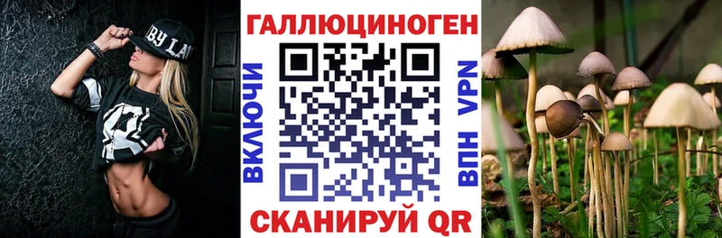 Галлюциногенные грибы Psilocybe Купить Знаменск
